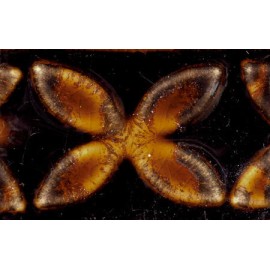 Aventurine - 16oz Amaco Potters Choice Cone 5 Glaze